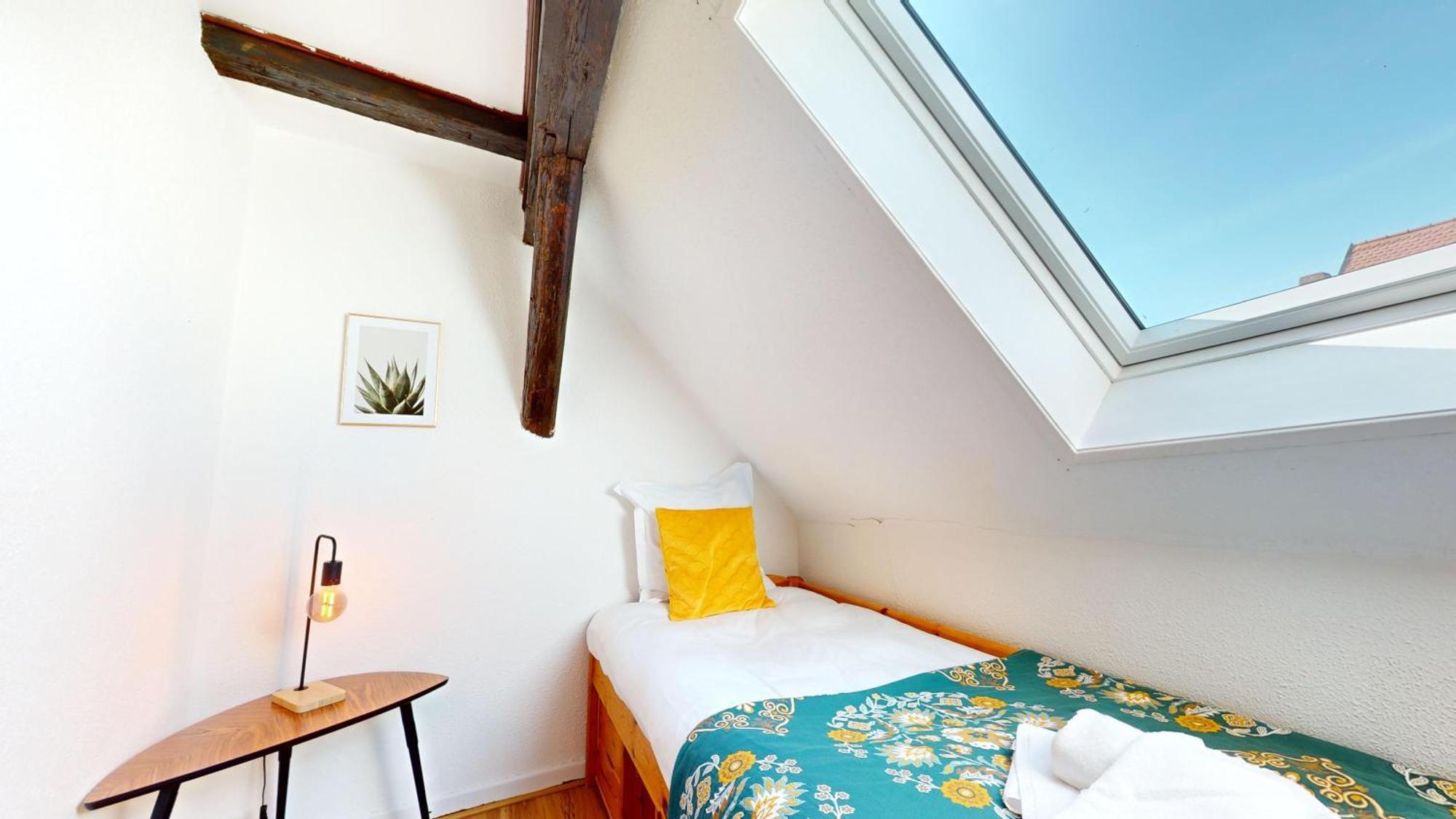 Le Petit Chez Vous Leilighet Colmar Eksteriør bilde